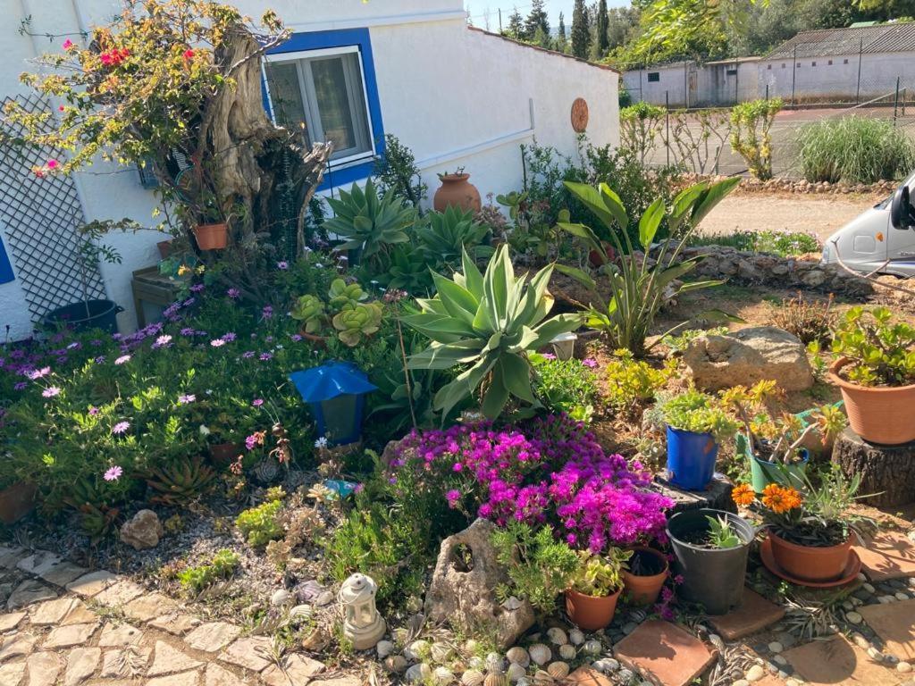 Casa Aleg Villa Albufeira Exterior photo